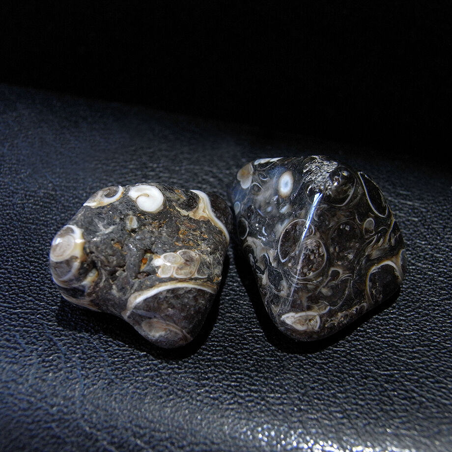 アメリカ・ワイオミング州産ツリテラアゲート2個セット8 | モダン屋