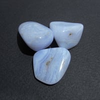 ブルーレース3個セット1