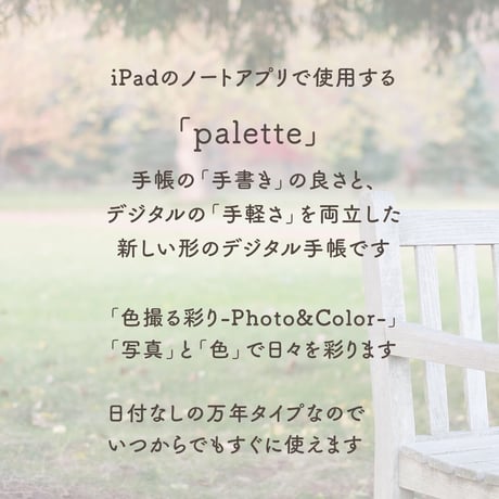 Undated【palette】Bench