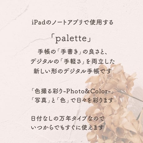 Undated【palette】Hydrangea