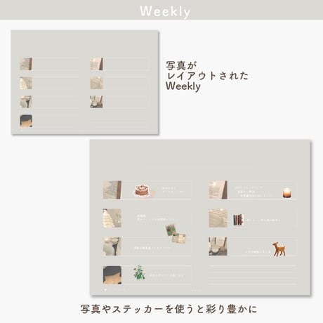 Undated【palette】Holy