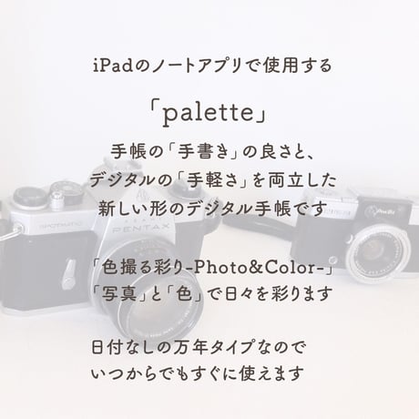 Undated【palette】Camera