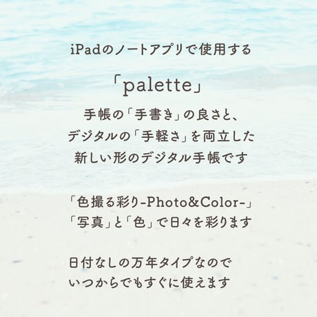 Undated【palette】Sandybeach