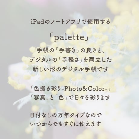 Undated【palette】mimosa