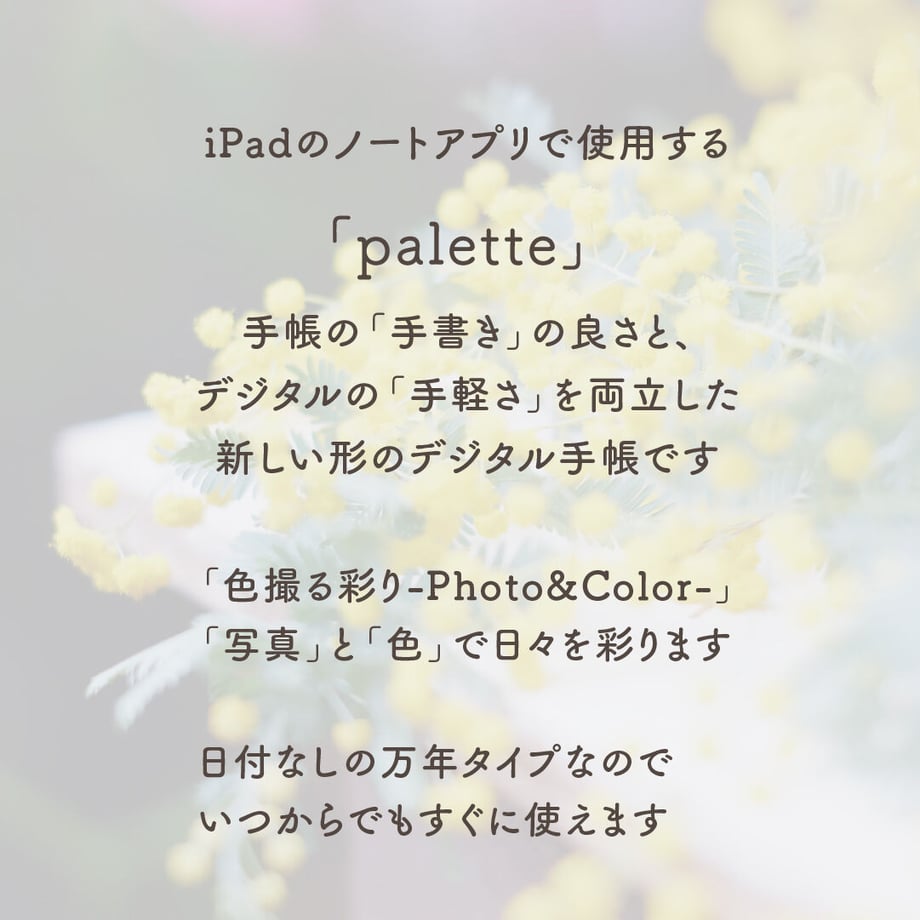 63a4e8d02cdd542e0faa651f