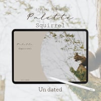 Undated【palette】Squirrel