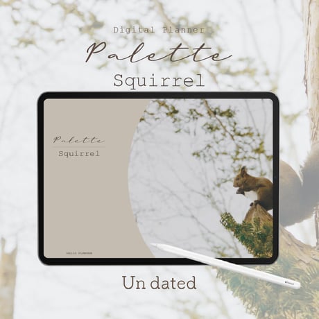 Undated【palette】Squirrel