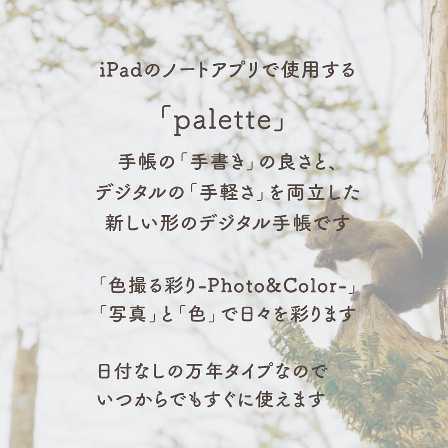63a4e8a0c3289c4628947cc4