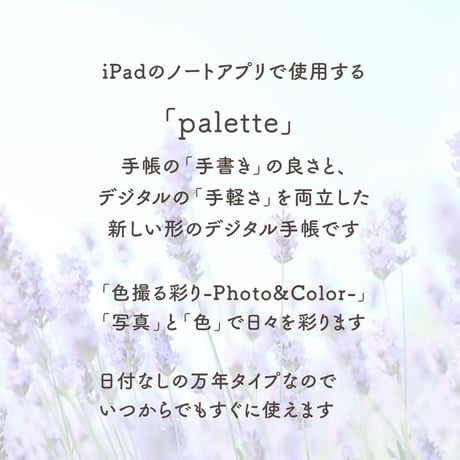 Undated【palette】Lavender