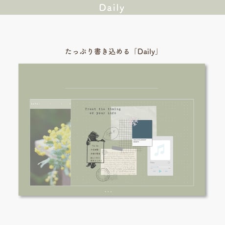Undated【palette】mimosa