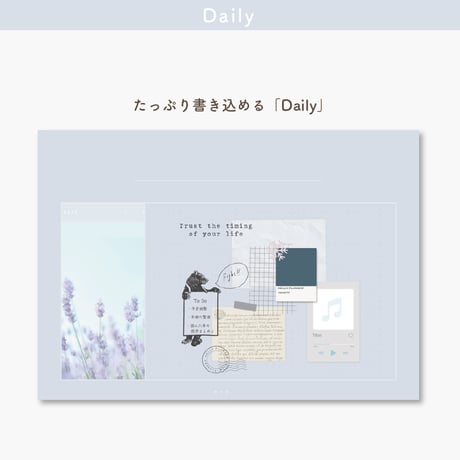 Undated【palette】Lavender