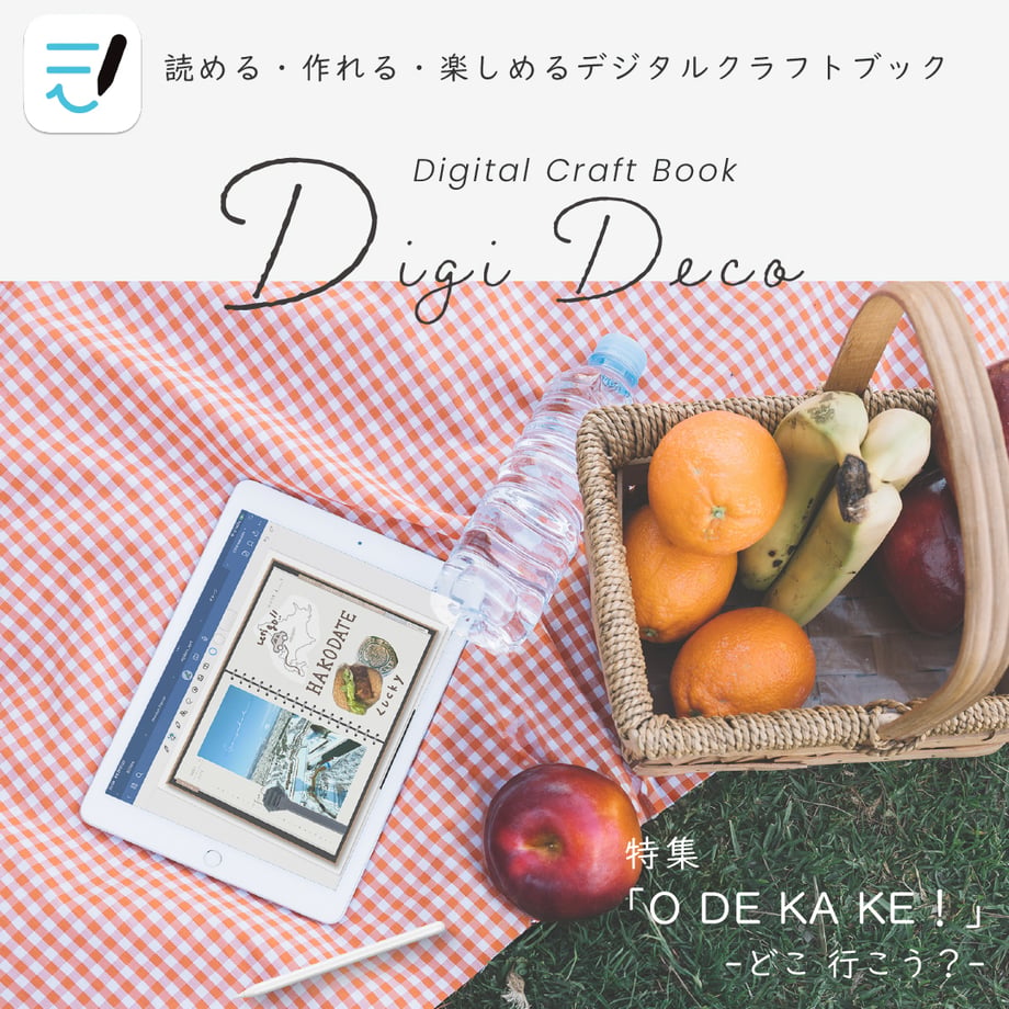 66337e81464e551109a2ac74