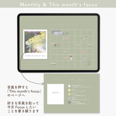 Undated【palette】mimosa