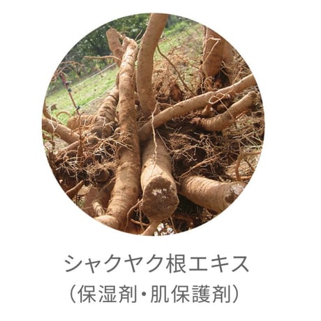 サンカットクリーム  40ｇ