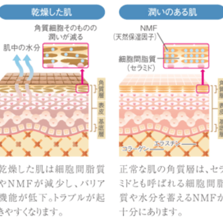 センシティブジェル　120mL 　保湿ジェル