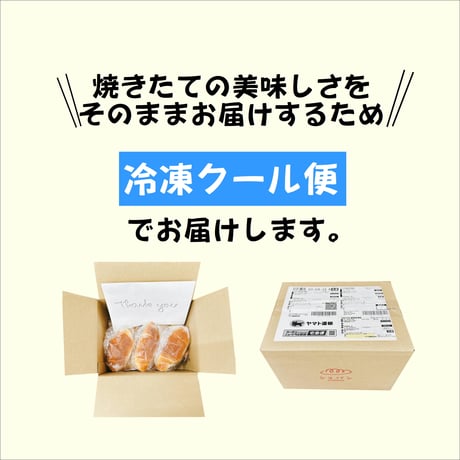 サクッとジュワっと 塩バターロール　10個【冷凍】