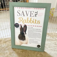 SAVE THE RABBITSポスター（同梱不可単独購入でお願いします）