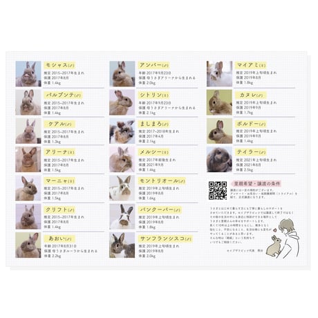 保護うさぎ一覧リーフレット