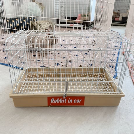 Rabbit in Car  moji ステッカー［Sticker for  cars］