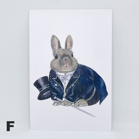 SAVE THE RABBITS Takarazukaポストカード（1枚売り）