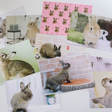 ポストカード10枚セット［10 pack postcards］