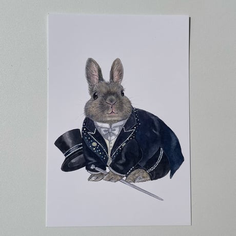 ポストカード11種セット(SAVE THE RABBITS TAKARAZUKA)