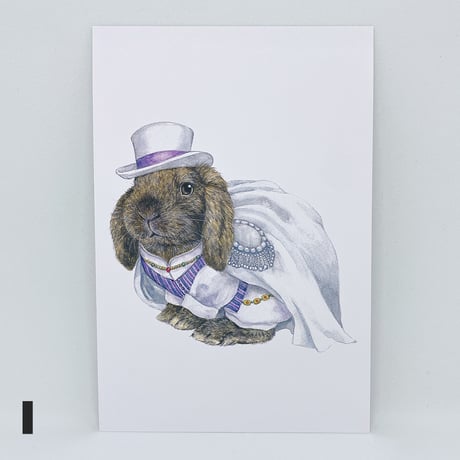SAVE THE RABBITS Takarazukaポストカード（1枚売り）