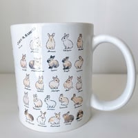 SAVE THE RABBITS x schinako マグカップ