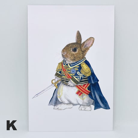 SAVE THE RABBITS Takarazukaポストカード（1枚売り）