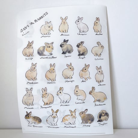 SAVE THE RABBITS x schinako クリアファイル