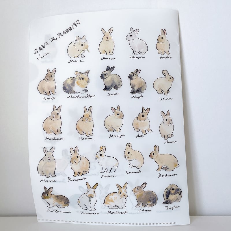 SAVE THE RABBITS x schinako クリアファイル | fluffy's