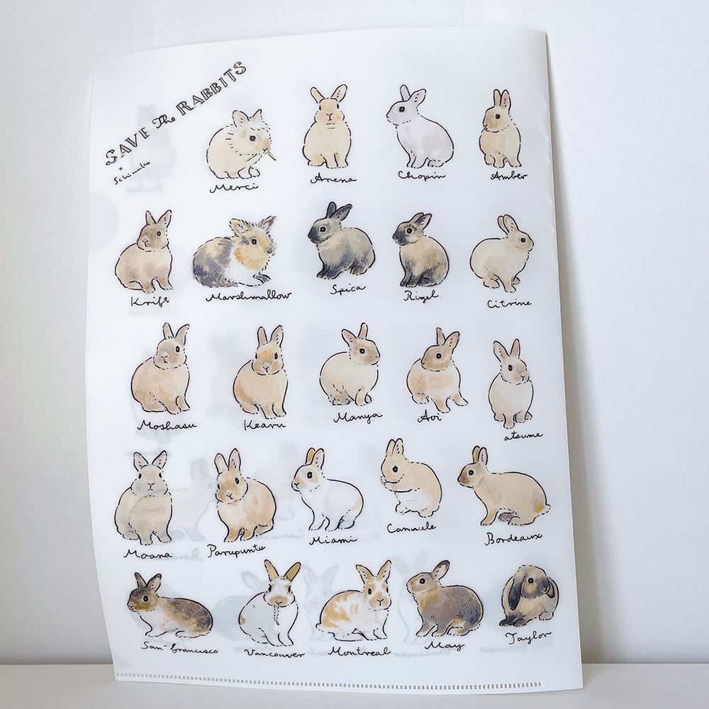 SAVE THE RABBITS x schinako クリアファイル | fluffy's