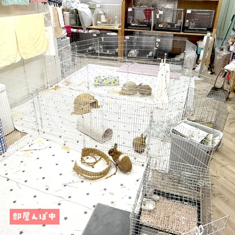【寄付の募集】施設に新しいエアコンを設置するプロジェクト