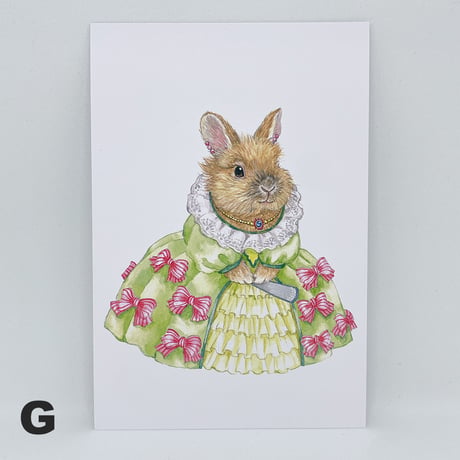 SAVE THE RABBITS Takarazukaポストカード（1枚売り）