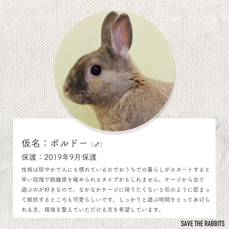 【個別寄付】砂粒症・腎臓結石で闘病するカヌレとボルドーお野菜代