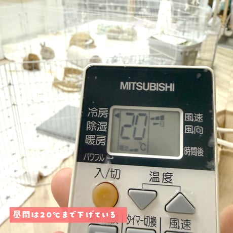【寄付の募集】施設に新しいエアコンを設置するプロジェクト