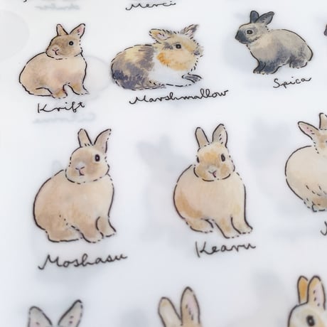 SAVE THE RABBITS x schinako クリアファイル