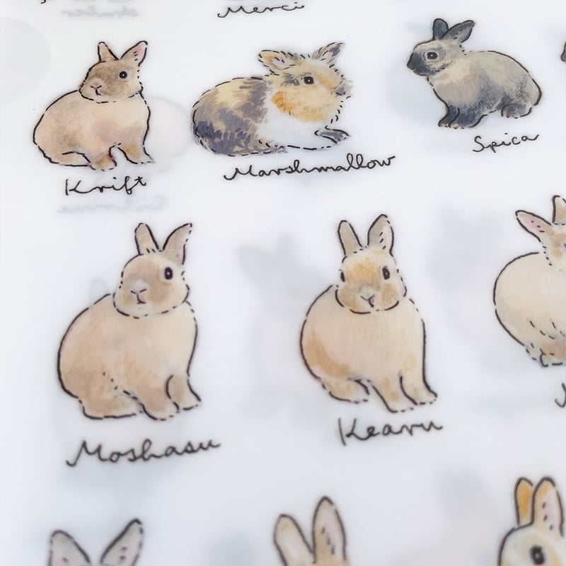SAVE THE RABBITS x schinako クリアファイル | fluffy's