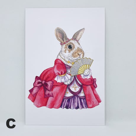 SAVE THE RABBITS Takarazukaポストカード（1枚売り）