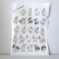 SAVE THE RABBITS x schinako クリアファイル
