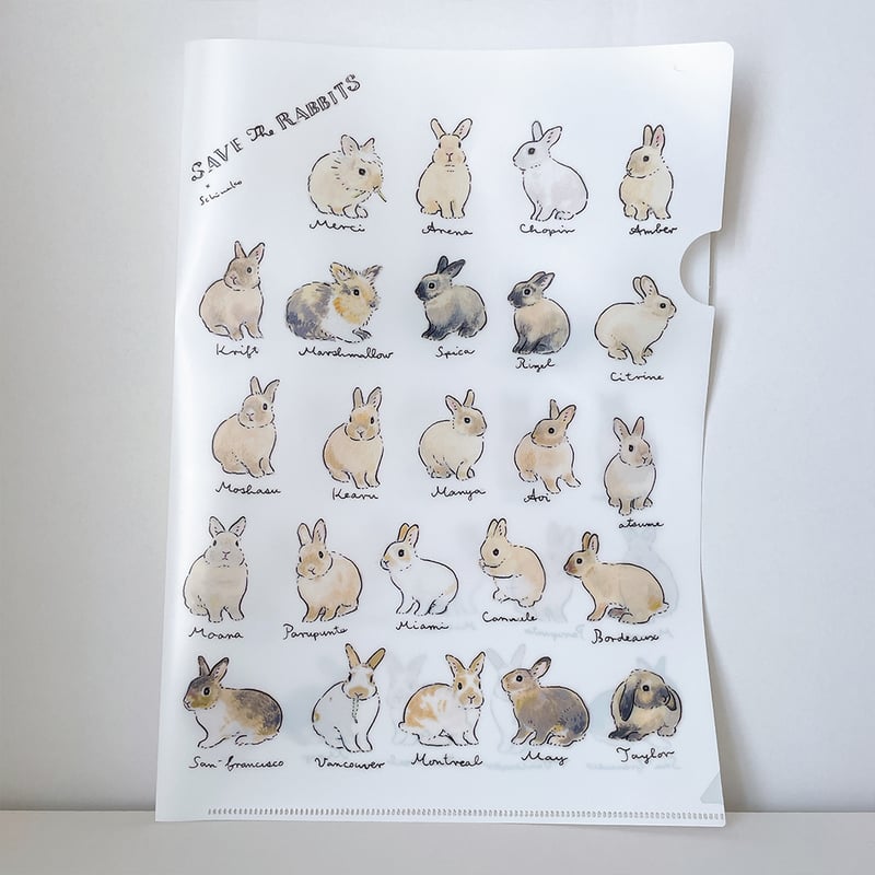 ご注文はうさぎですか sin rabbits クリアファイル 全種セット ご注文はうさぎですか sin rabbits クリアファイル 全種セット ご注文