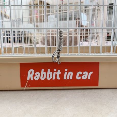Rabbit in Car  moji ステッカー［Sticker for  cars］