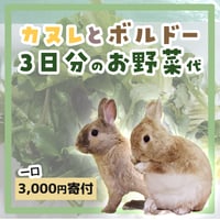 【個別寄付】砂粒症・腎臓結石で闘病するカヌレとボルドーお野菜代