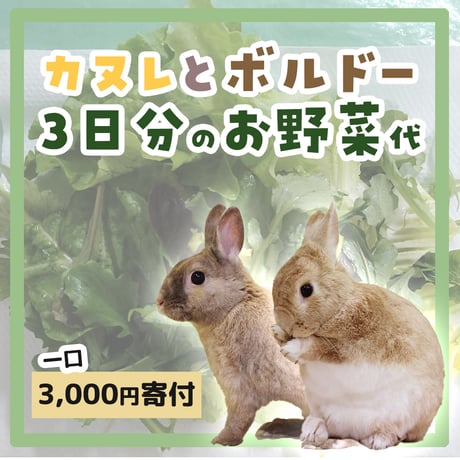 【個別寄付】砂粒症・腎臓結石で闘病するカヌレとボルドーお野菜代