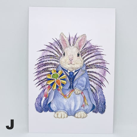 SAVE THE RABBITS Takarazukaポストカード（1枚売り）