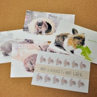ポストカード５枚セット［5 pack postcards ］