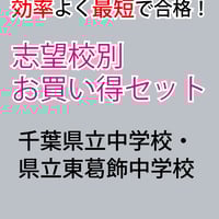 最強の作文対策集＋まとめカード ☆公立中高一貫校 適性検査 最強の作文対策集＋まとめカード