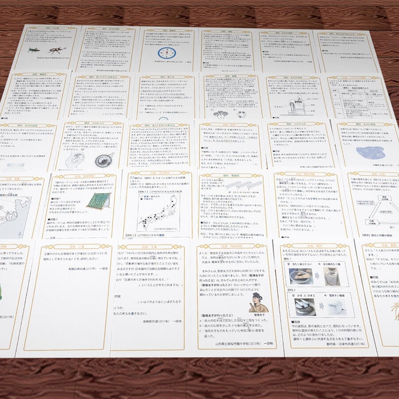お買い得カードセット！公立中高一貫校 適性検査 理科・社会が楽しく 