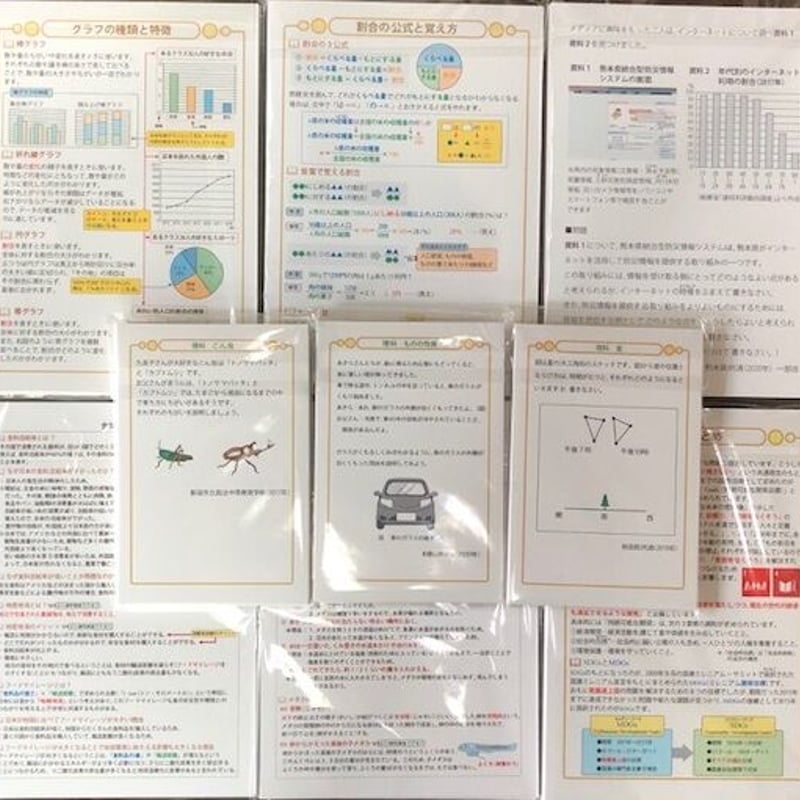 お買い得カードセット！公立中高一貫校 適性検査 理科・社会が楽しくよくわかるカードセット | ...