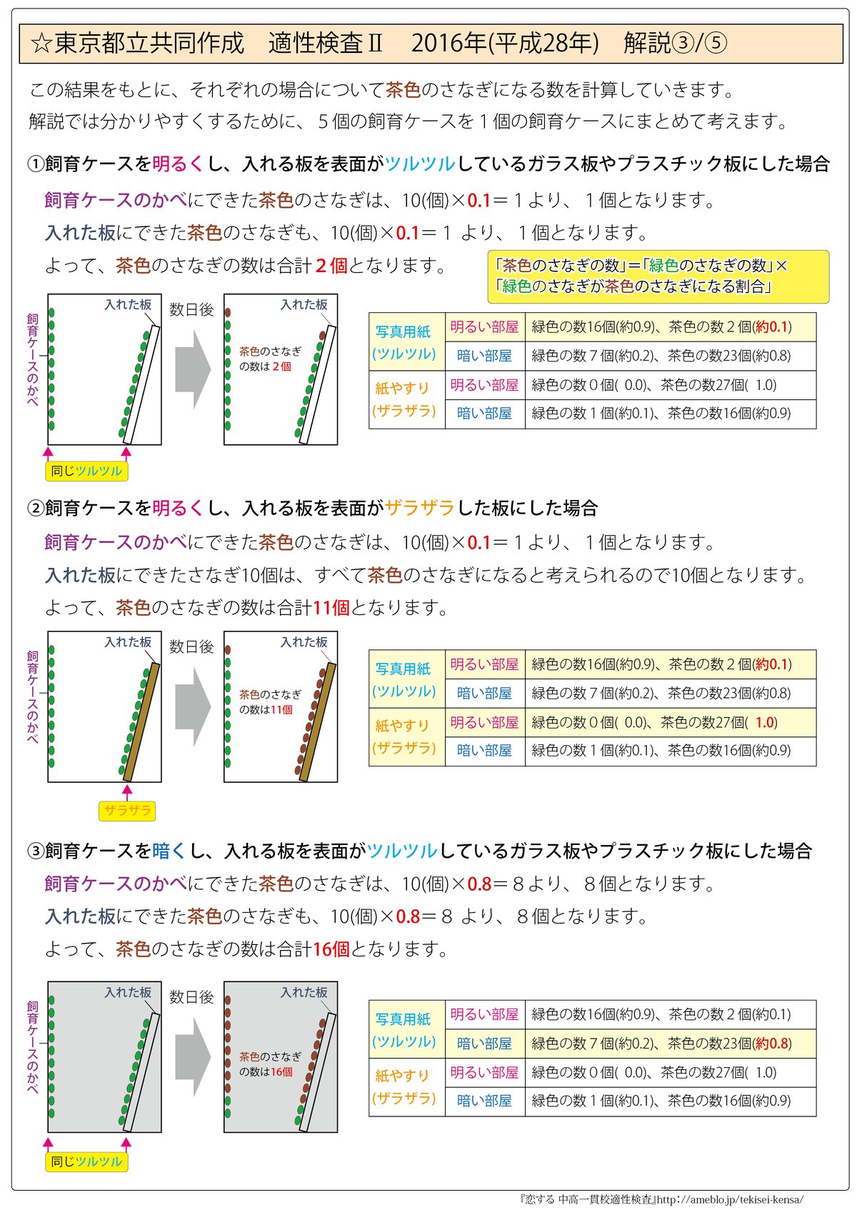 東京都立大泉高等学校附属中学校　志望校別お買い得セット 東京都立大泉高等学校附属中学校版「塾に通わなくても効率よく